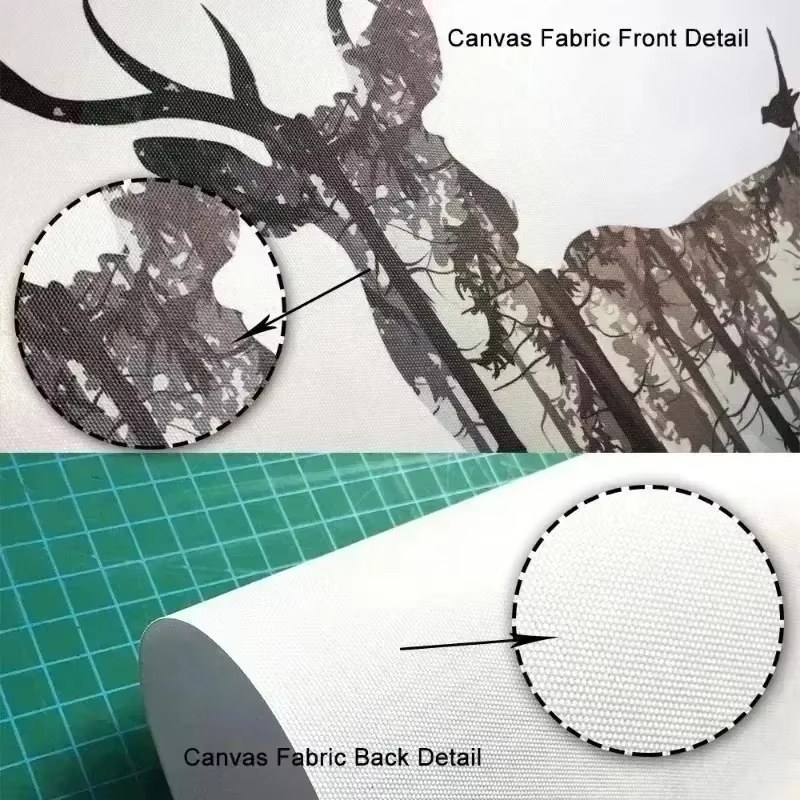 Mapa do Mundo Animal com Dinos - Baby Nursery Home avaliação e preço